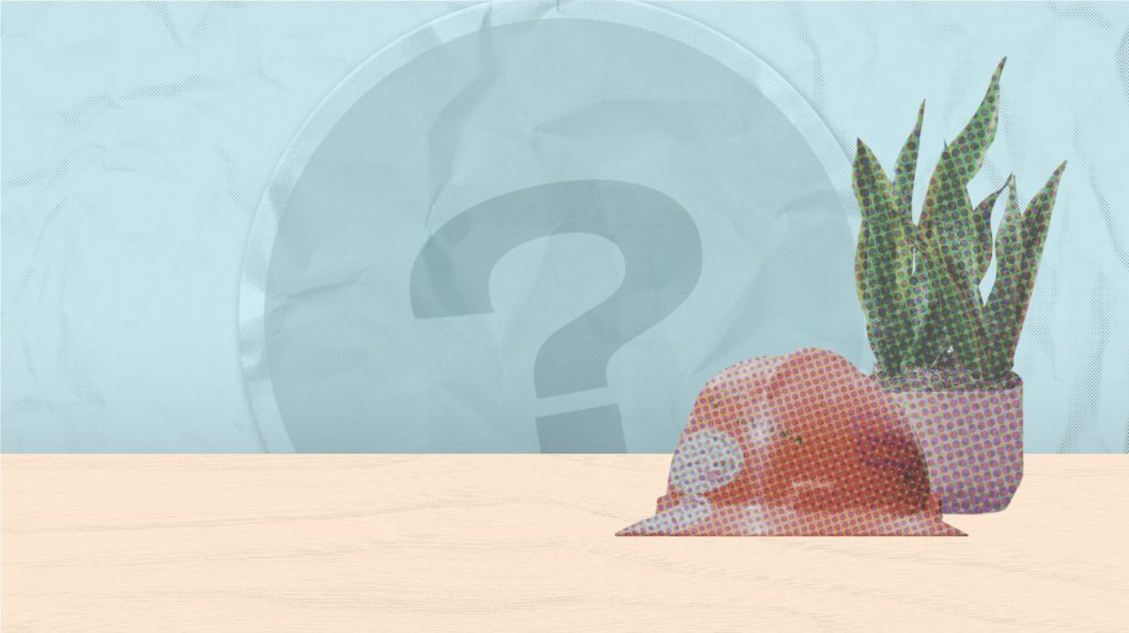 construction hard hat on table with plant.